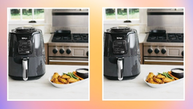 Ninja AF101 Air Fryer Review 2026 Ninja AF101 Crispy Food Cooking