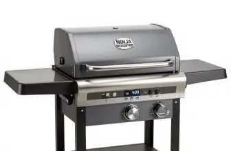 Ninja Woodfire Outdoor Grill & Smoker