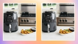 Is the Ninja AF101 Air Fryer Still Worth It in 2026? (An Honest Review)